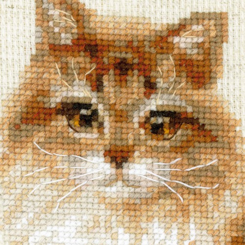 Набор для вышивания крестом Риолис "Кошка домашняя" (фото, вид 1)