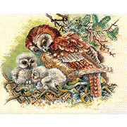 Набор для вышивания крестом Eva Rosenstand "Гнездо совы"