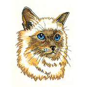 Набор для вышивания крестом Eva Rosenstand "Персидский кот"