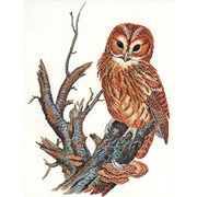 Набор для вышивания крестом Eva Rosenstand "Рыжевато-коричневая сова"