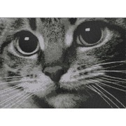 Ткань с рисунком для вышивки бисером Конёк "Котёнок"