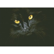 Набор для выкладывания мозаики Паутинка "Чёрная кошка"