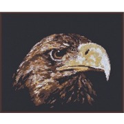 Набор для вышивания крестом Палитра "Взгляд орла"