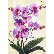 Канва с нанесенным рисунком Матрёнин посад "Орхидеи"
