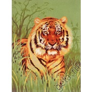 Канва с нанесенным рисунком Diamant "Тигр в траве"