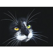 Ткань с рисунком для вышивки бисером Матрёнин посад "Черный кот"