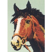 Канва с нанесенным рисунком Diamant "Голова рыжего коня"
