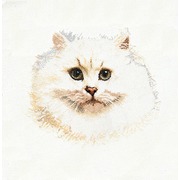 Набор для вышивания крестом Thea Gouverneur "Белый персидский кот"