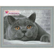 Набор для выкладывания мозаики Алмазная живопись "Британский кот"