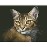 Набор для выкладывания мозаики Паутинка "Абиссинская кошка"