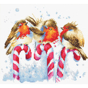 Набор для вышивания крестом Luca-S "Рождественские птицы"