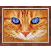 Набор для выкладывания мозаики Алмазная живопись "Синеглазый кот"