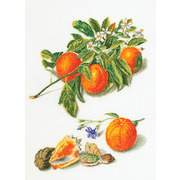 Набор для вышивания крестом Thea Gouverneur "Апельсины и мандарины"