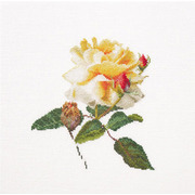 Набор для вышивания крестом Thea Gouverneur "Цветение белой розы"