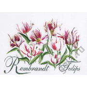 Набор для вышивания крестом Thea Gouverneur "Рембрандт, Тюльпаны"