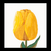 Набор для вышивания крестом Thea Gouverneur "Желтый тюльпан"
