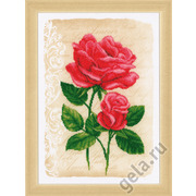 Набор для вышивания крестом Vervaco "Розы любви"