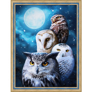 Набор для выкладывания мозаики Алмазная живопись "Ночные совы"
