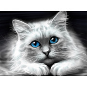 Набор для выкладывания мозаики Алмазная живопись "Голубоглазая кошка"