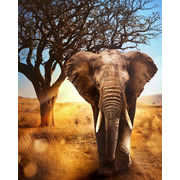 Набор для выкладывания мозаики Алмазная живопись "Африканский слон"