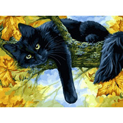 Набор для раскрашивания Белоснежка "Осенний кот"