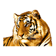 Набор для вышивания крестом Nitex "Тигр"