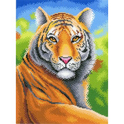 Канва с нанесенным рисунком М.П. Студия "Царственный тигр"
