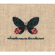 Набор для вышивания крестом Le Bonheur Des Dames "Бабочка Артрофанера"