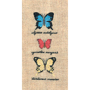 Набор для вышивания крестом Le Bonheur Des Dames "Бабочки Улисс, Цимотис, Дардан"