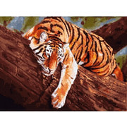 Набор для раскрашивания Белоснежка "Тигр на дереве"