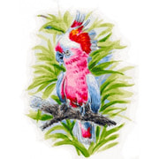 Набор для раскрашивания Белоснежка "Розовый попугай"