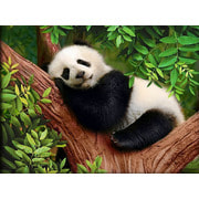 Набор для выкладывания мозаики Алмазная живопись "Сонный панда"