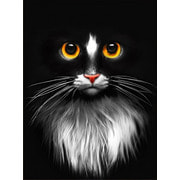 Набор для выкладывания мозаики Алмазная живопись "Черный кот"