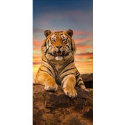 Набор для выкладывания мозаики Алмазная живопись "Довольный тигр"