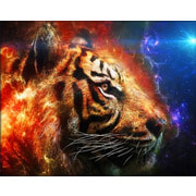Набор для выкладывания мозаики Алмазная живопись "Космический тигр"
