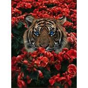 Набор для выкладывания мозаики Алмазная живопись "Тигр в цветах"