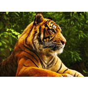 Набор для выкладывания мозаики Алмазная живопись "Золотой тигр"