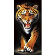 Набор для выкладывания мозаики Алмазная живопись "Тигр в темноте"