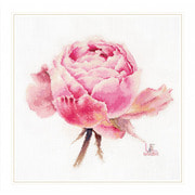 Набор для вышивания крестом Чудесная игла "Акварельные розы. Розовая изысканная"