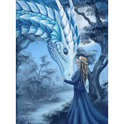 Набор для выкладывания мозаики Алмазная живопись "Девушка и дракон"