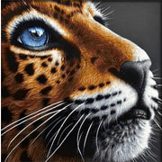 Набор для выкладывания мозаики Алмазная живопись "Синеглазый леопард"