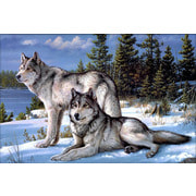 Набор для выкладывания мозаики Алмазная живопись "Два волка"