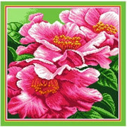 Канва с нанесенным рисунком Матрёнин посад "Розовые пионы"