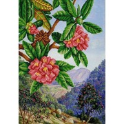 Ткань с рисунком для вышивки бисером Конёк "Экзотические цветы 1"